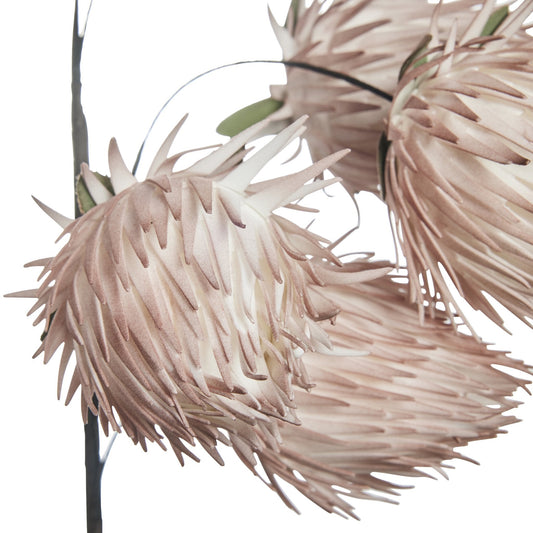 100x17.0x5.5 cm. Rose/Off White